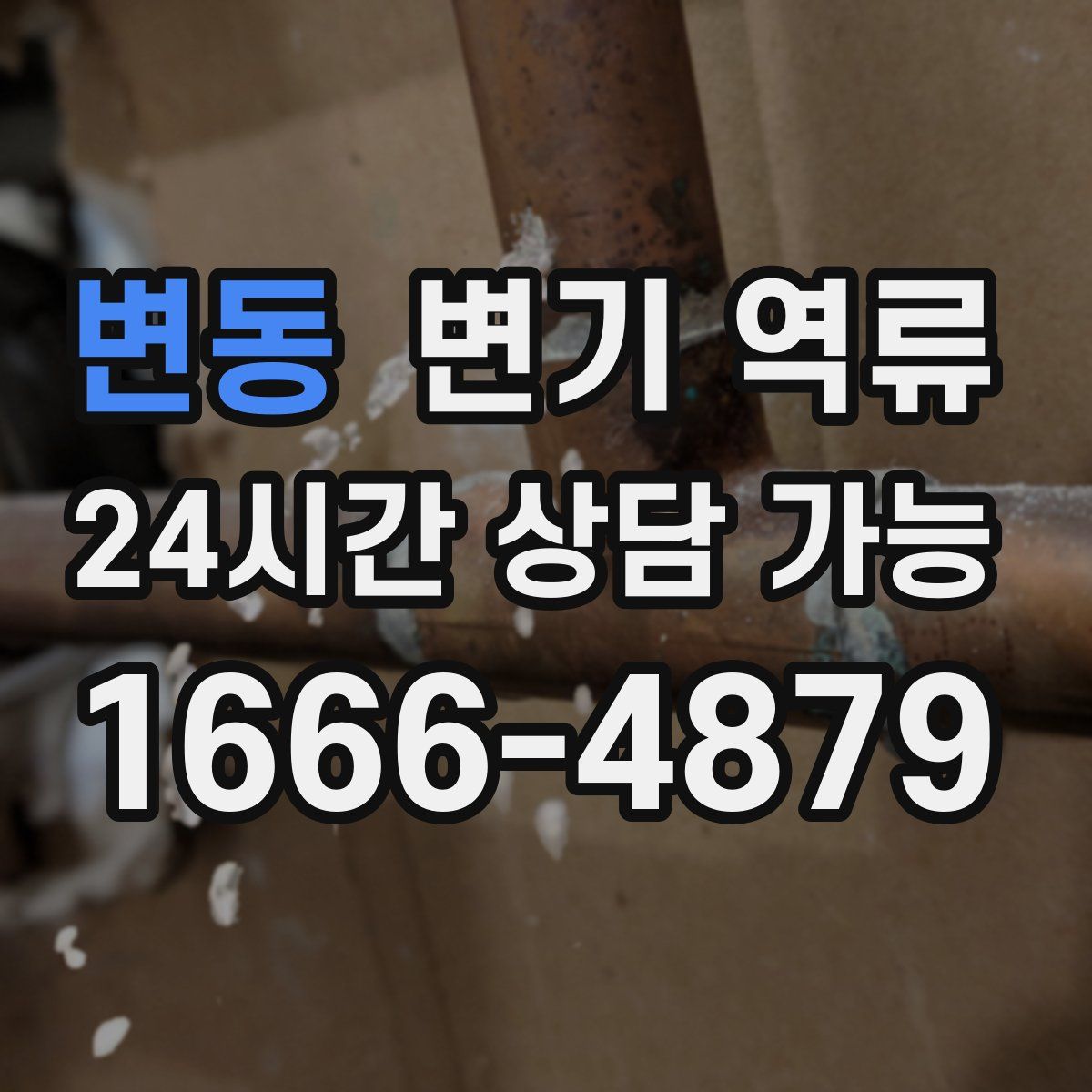 변동 변기 역류