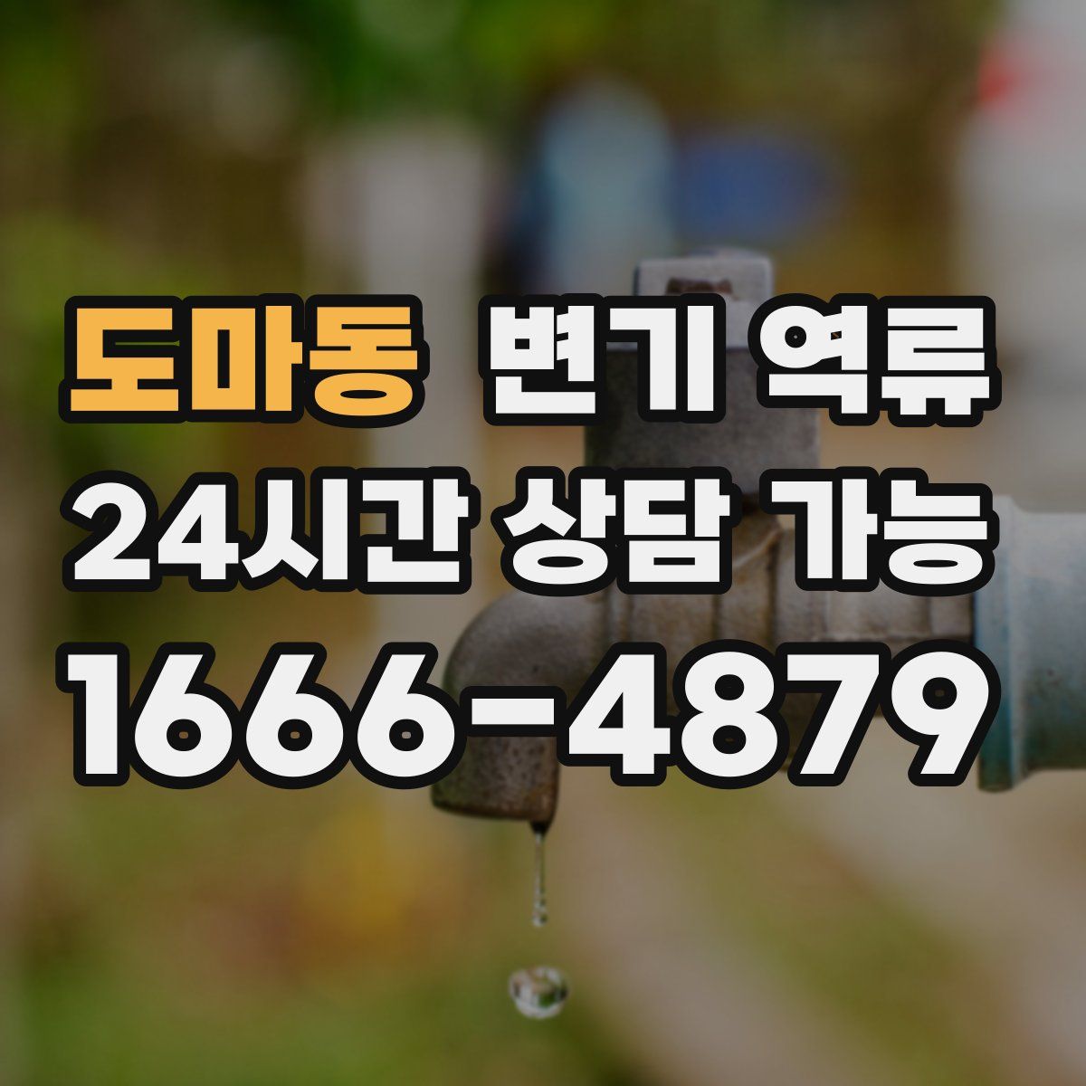 도마동 변기 역류