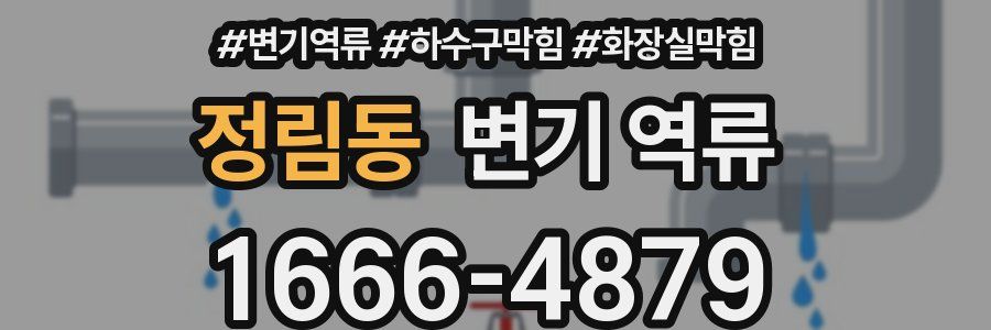 정림동 변기 역류