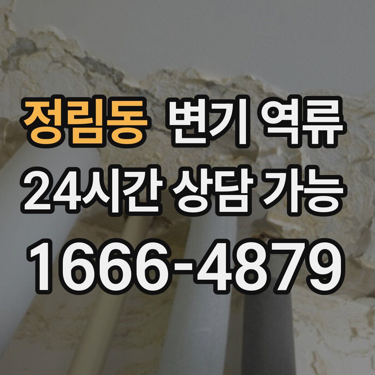 정림동 변기 역류