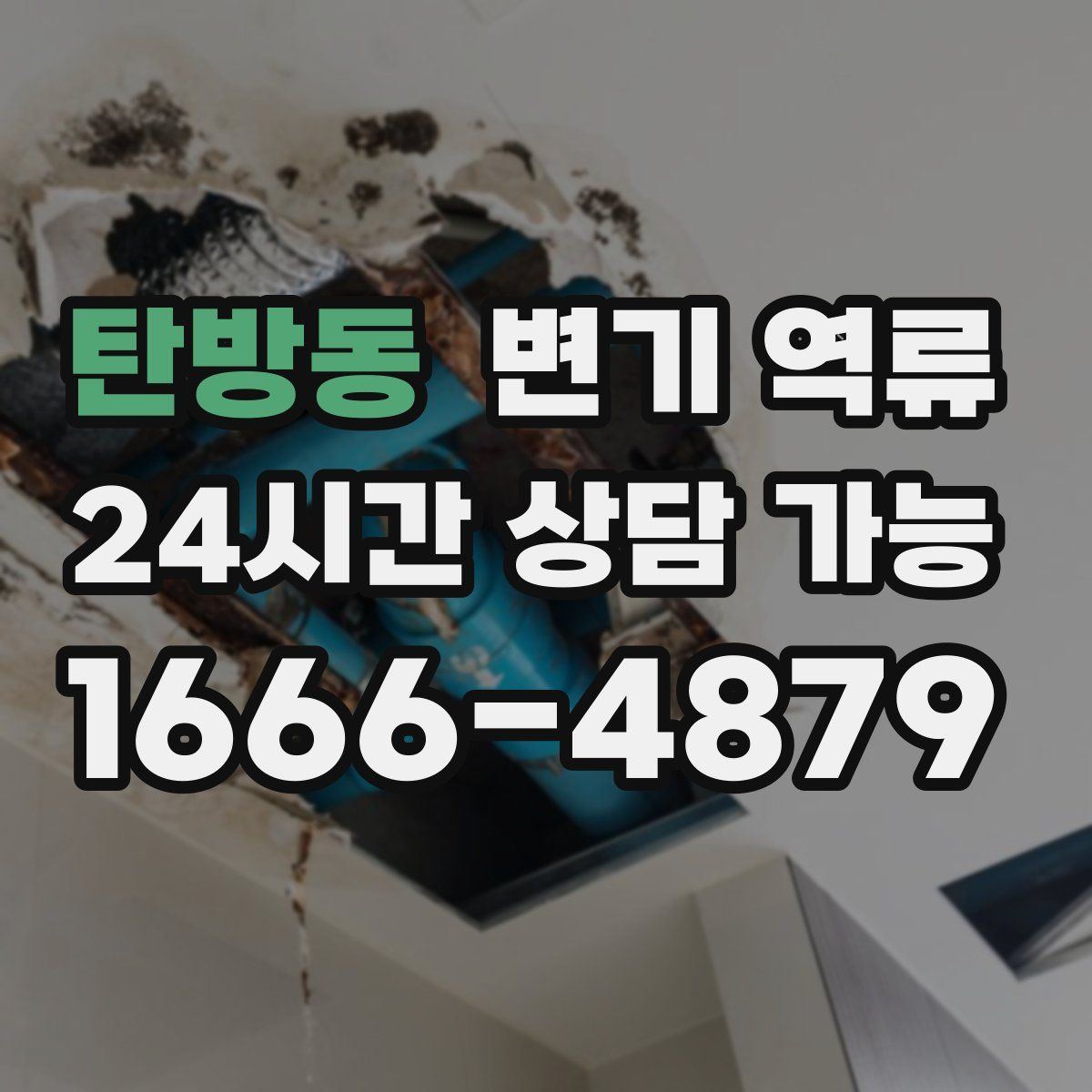 탄방동 변기 역류