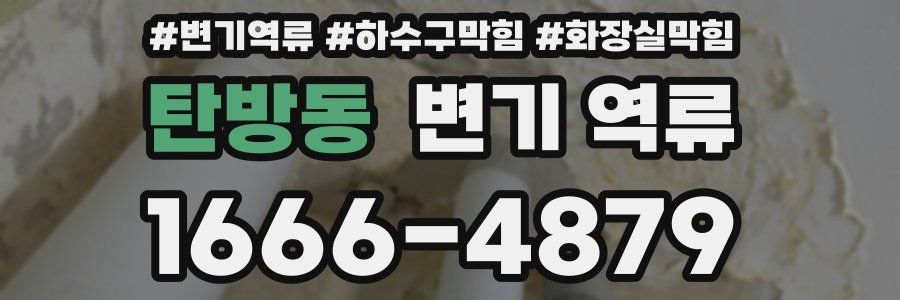 탄방동 변기 역류