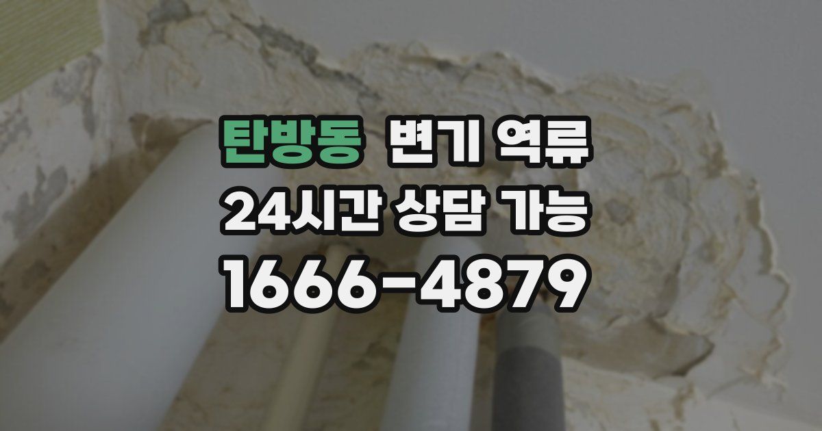 탄방동 변기 역류