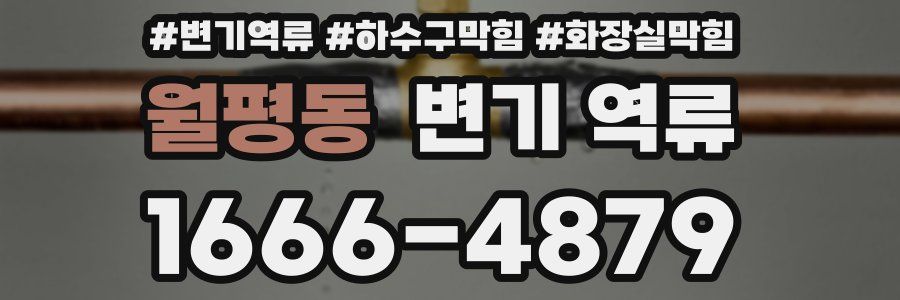 월평동 변기 역류