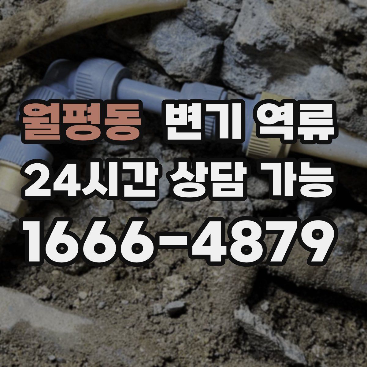 월평동 변기 역류