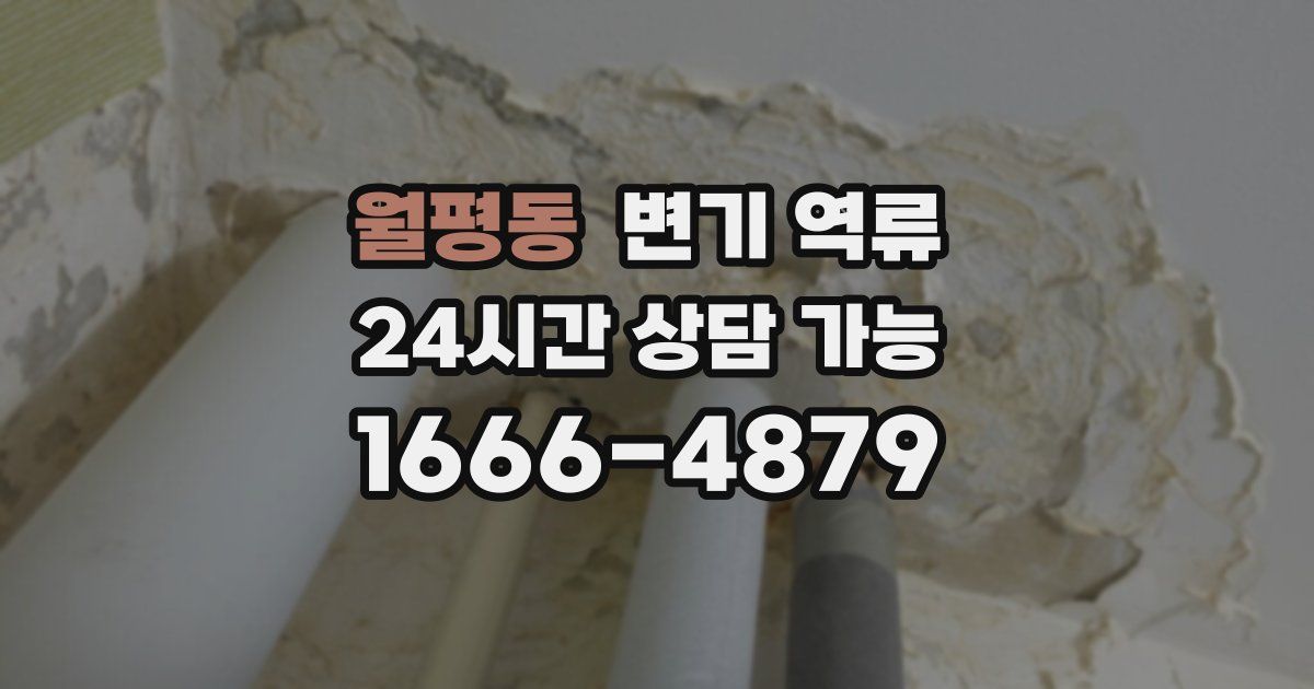 월평동 변기 역류