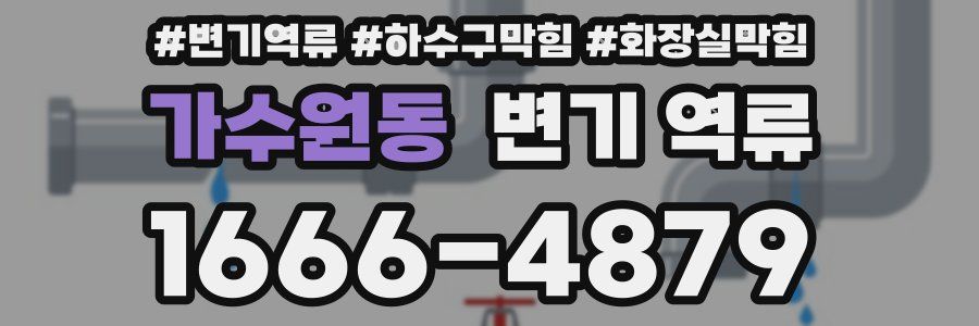 가수원동 변기 역류