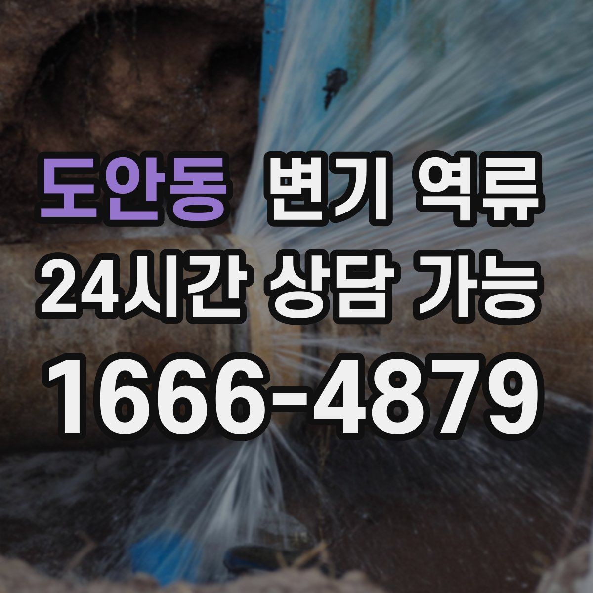 도안동 변기 역류 변기에 버리면 안 되는 것 정리
