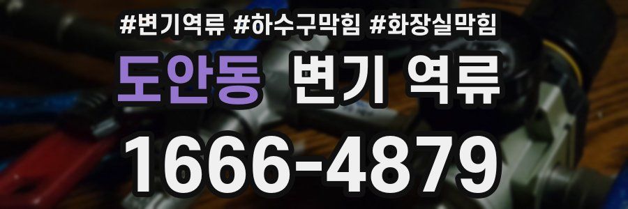 도안동 변기 역류