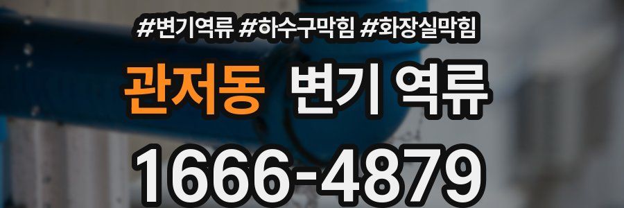 관저동 변기 역류