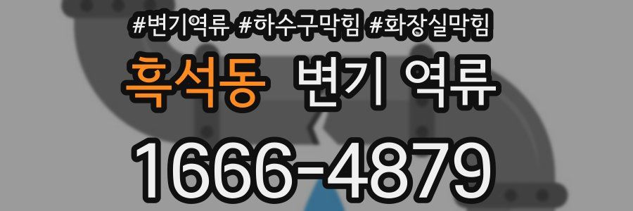 흑석동 변기 역류