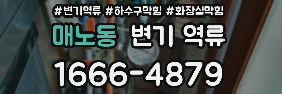 매노동 변기 역류