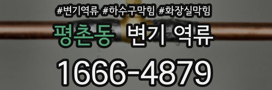 평촌동 변기 역류