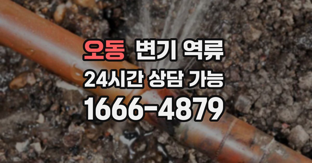 오동 변기 역류