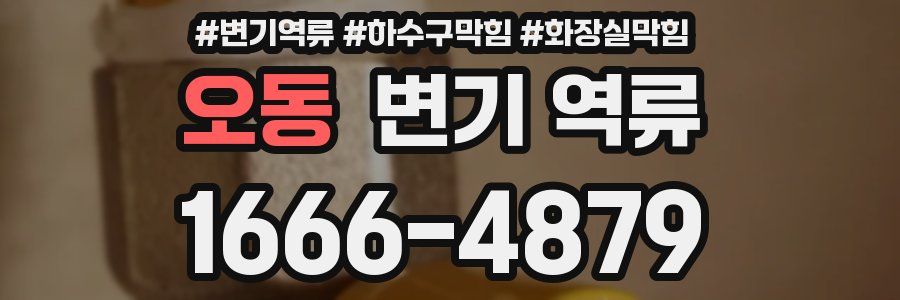 오동 변기 역류