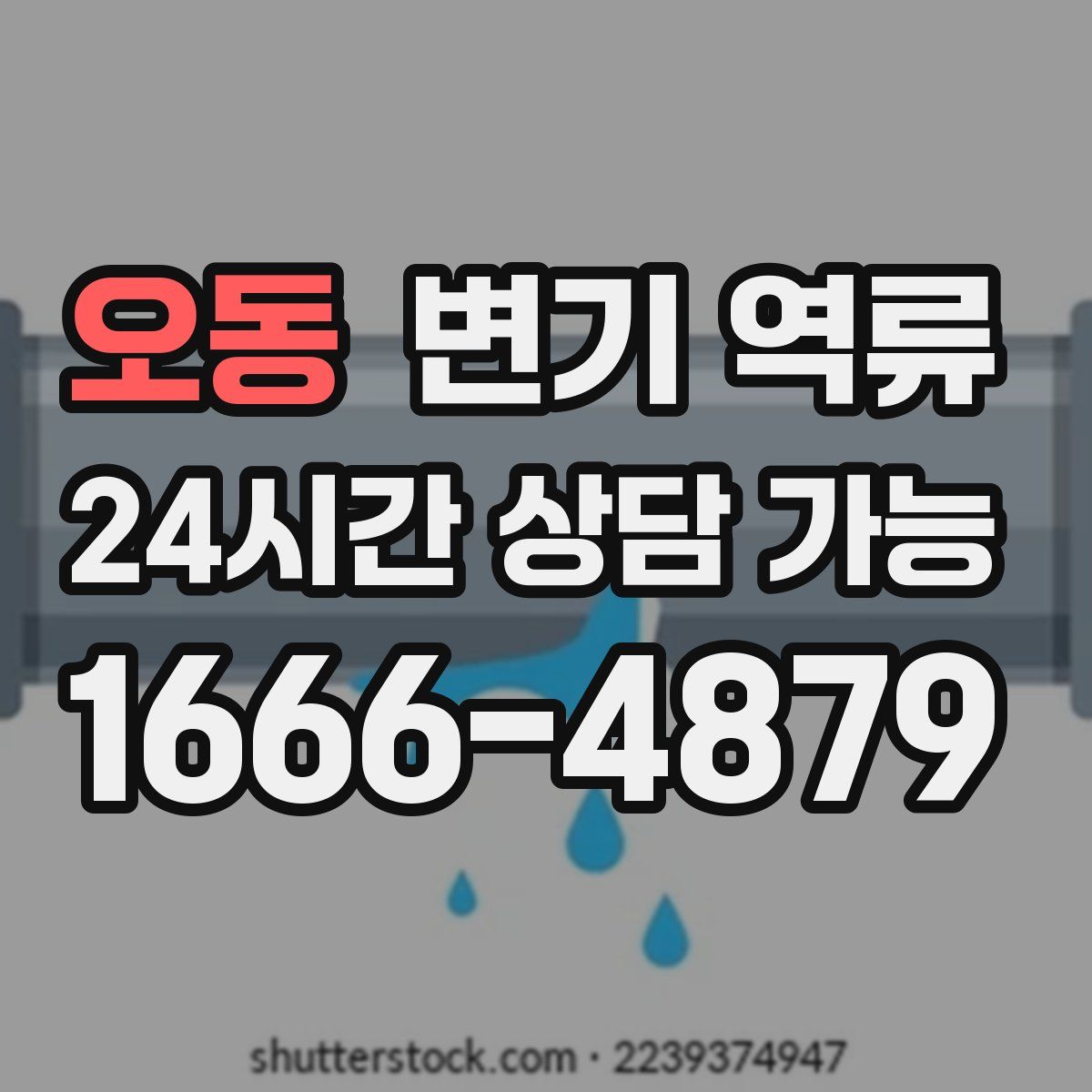 오동 변기 역류