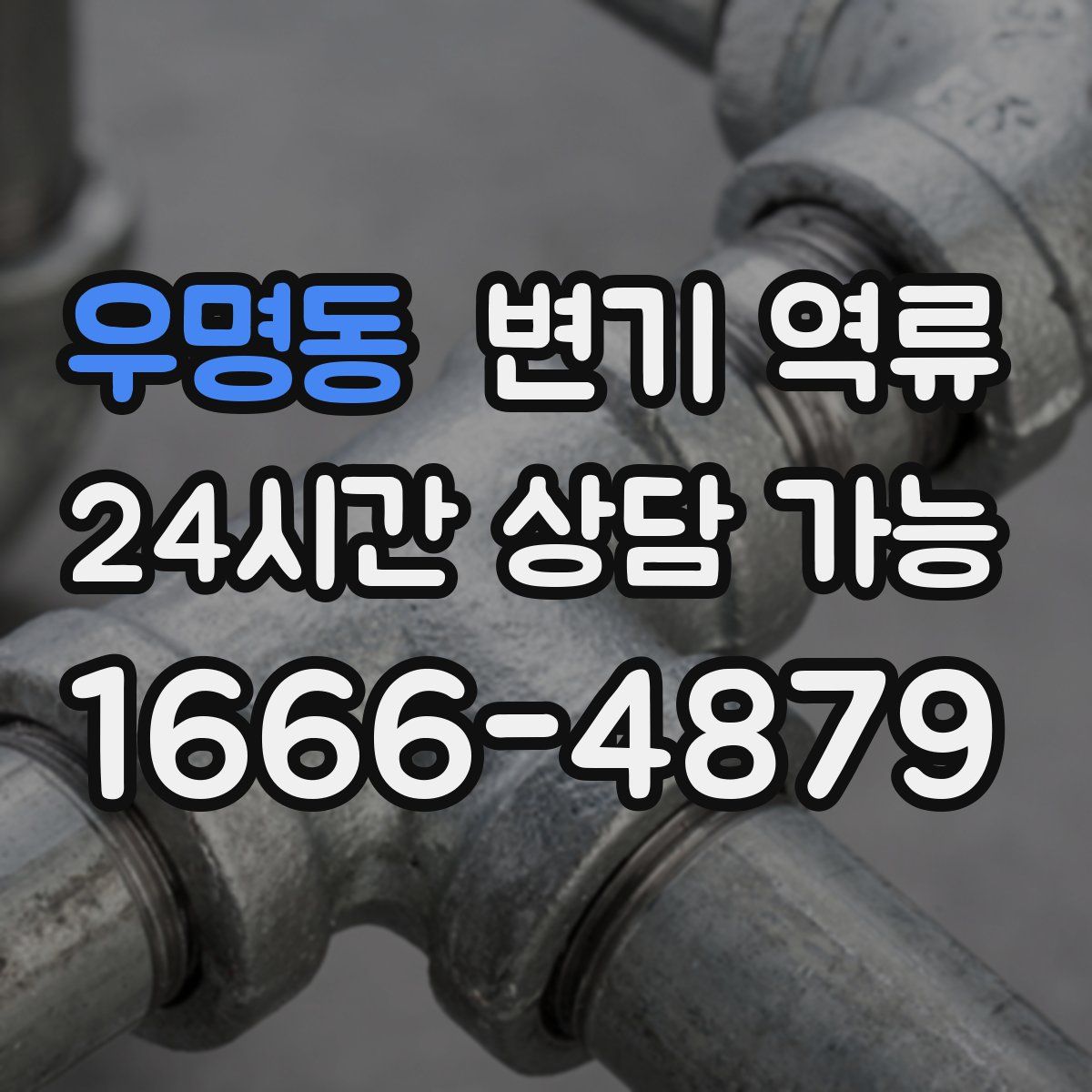 우명동 변기 역류