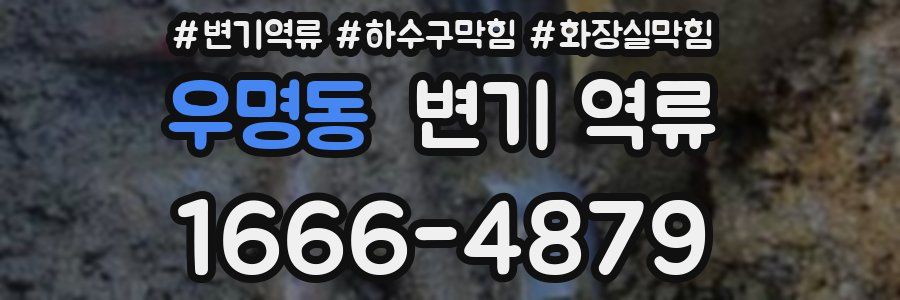 우명동 변기 역류