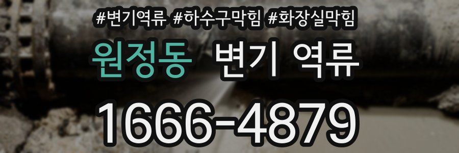 원정동 변기 역류