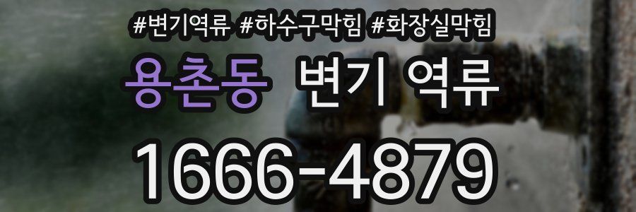 용촌동 변기 역류