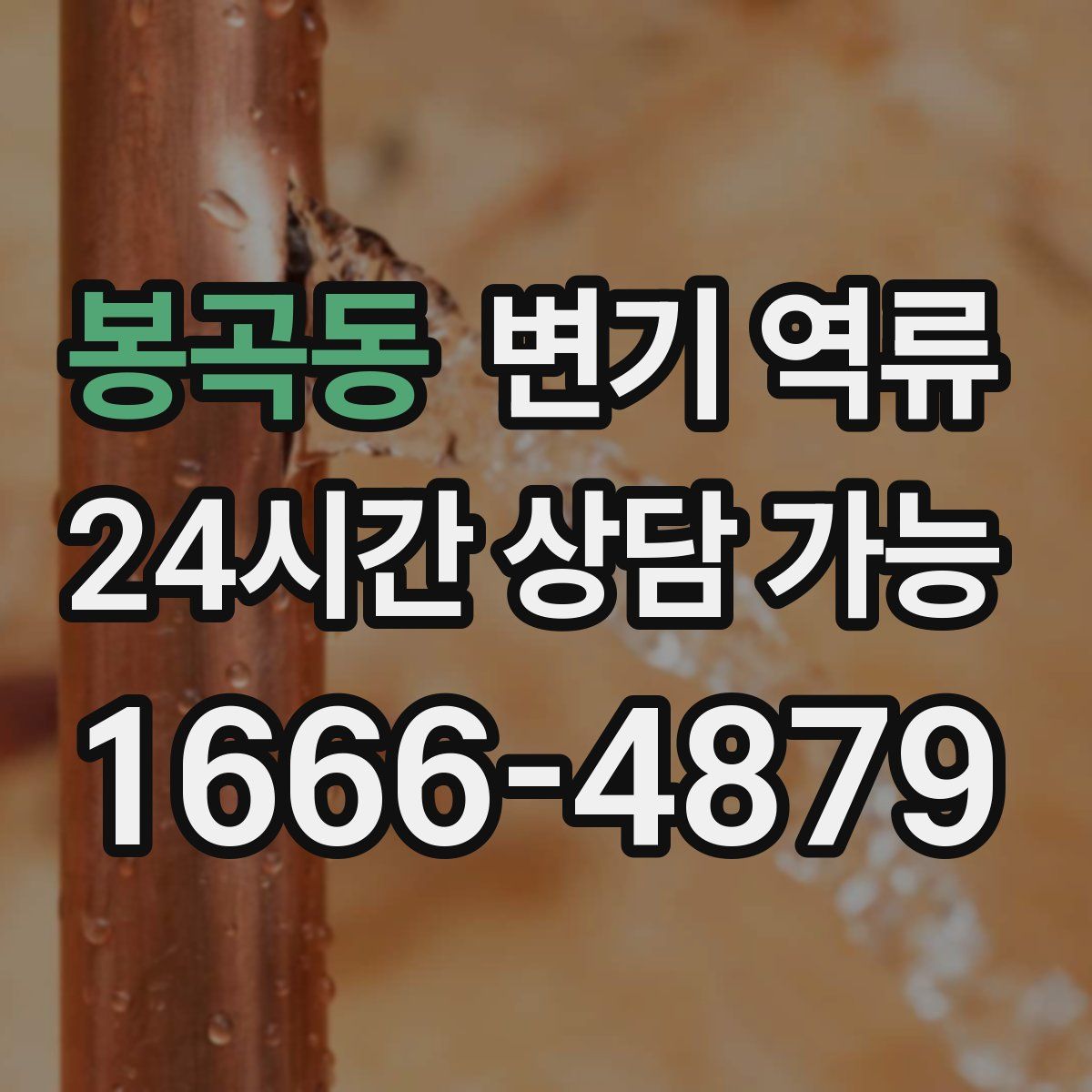 봉곡동 변기 역류