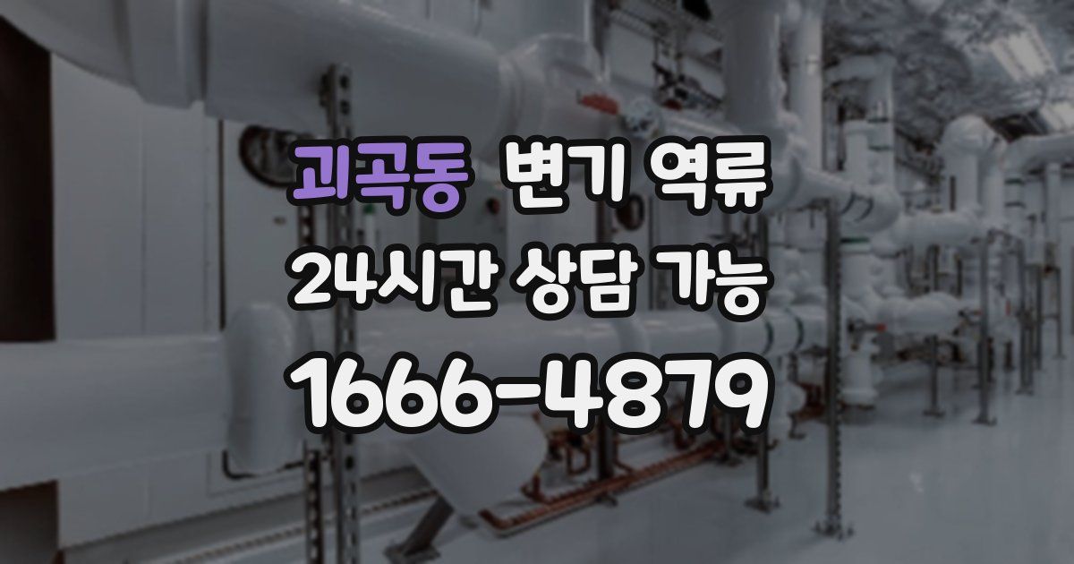 괴곡동 변기 역류