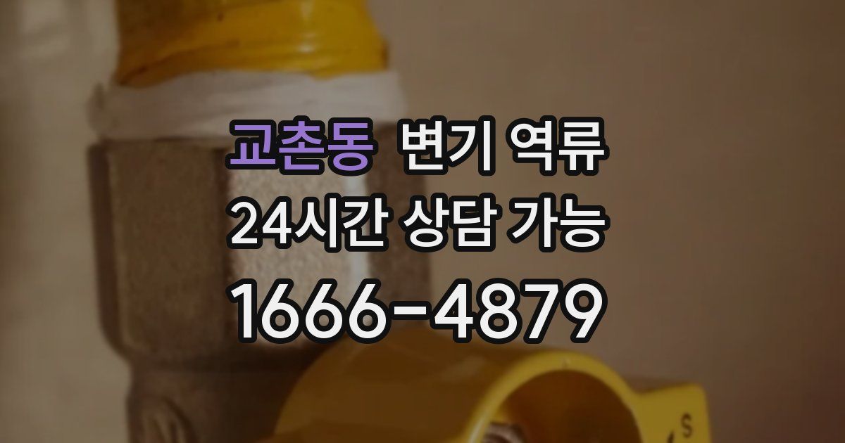 교촌동 변기 역류