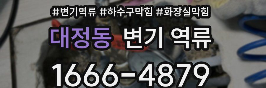 대정동 변기 역류