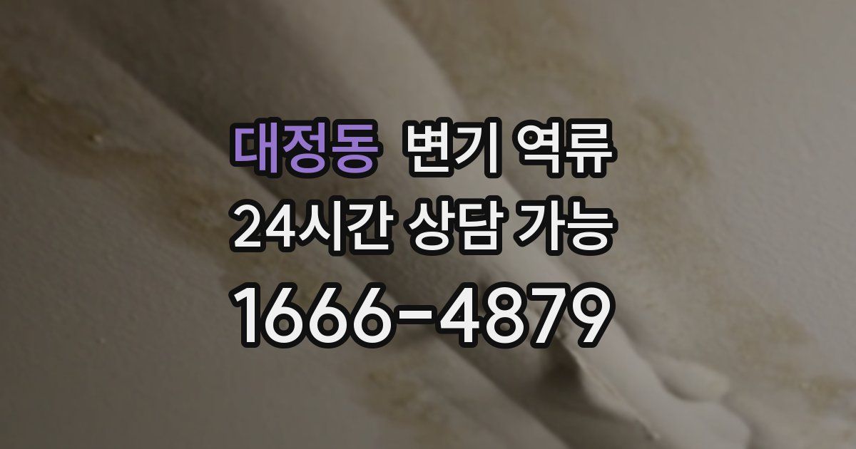 대정동 변기 역류