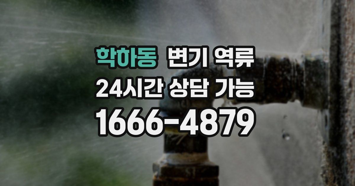 학하동 변기 역류