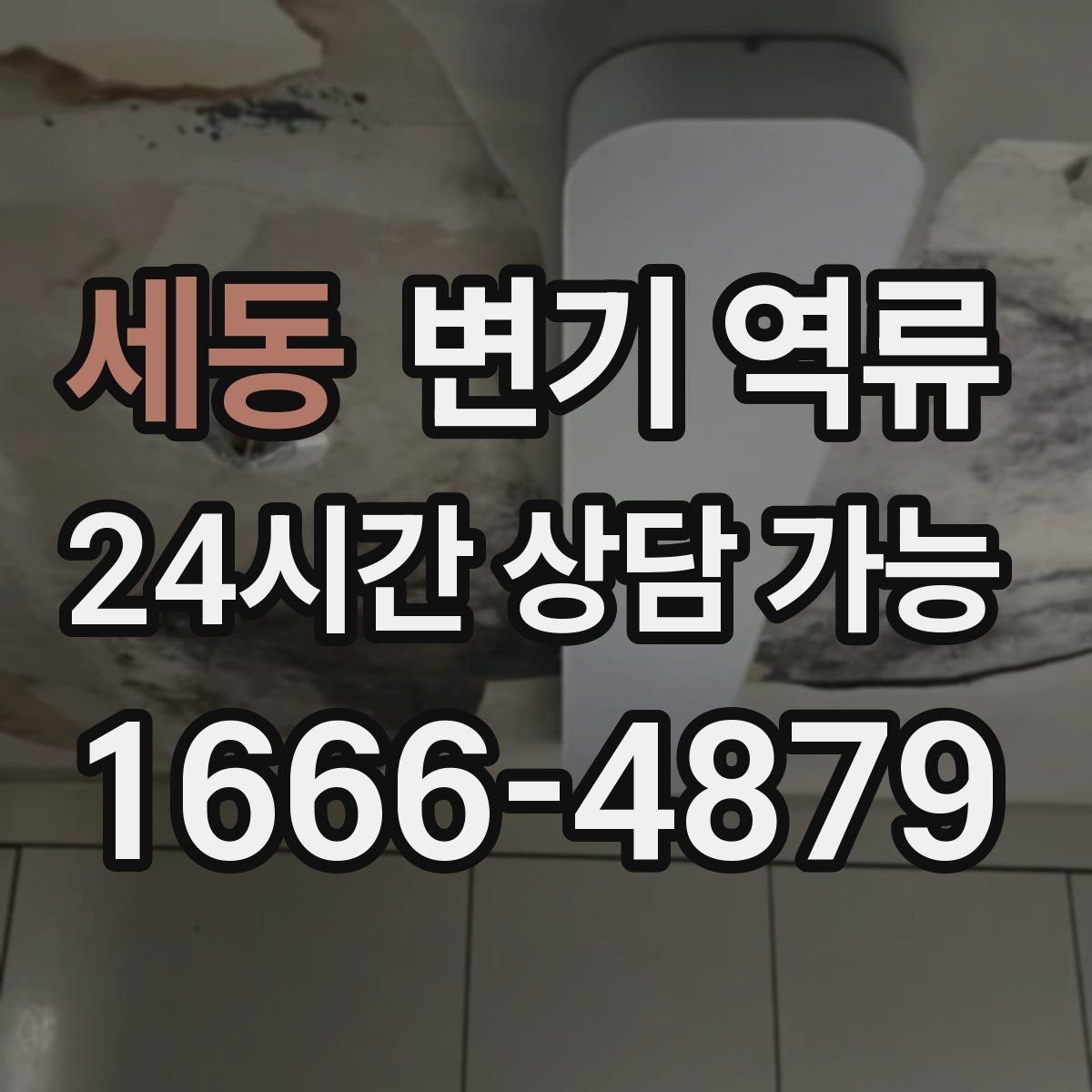 세동 변기 역류