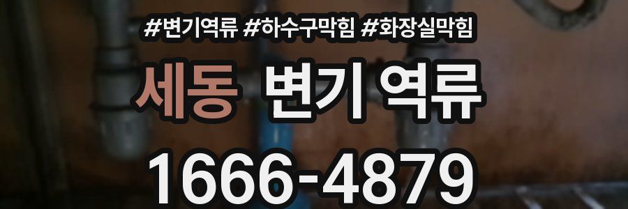 세동 변기 역류