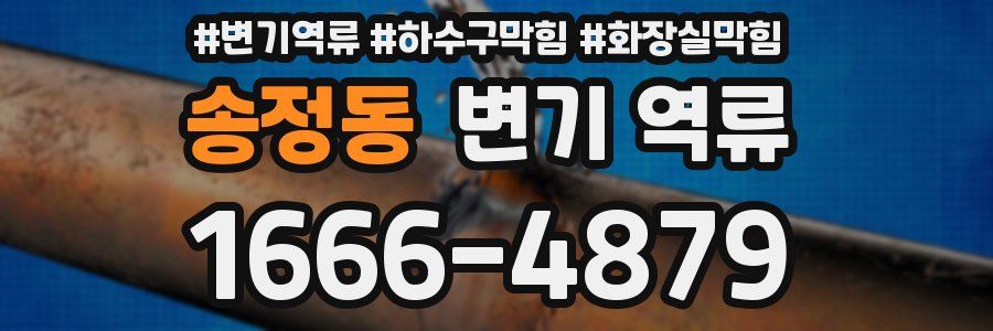 송정동 변기 역류