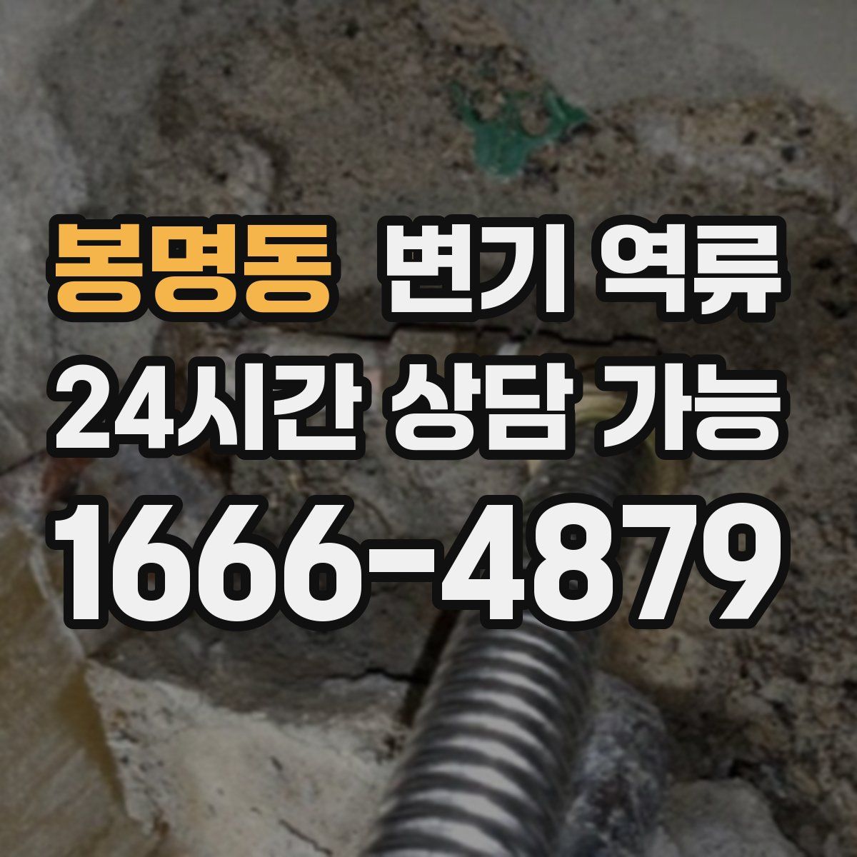 봉명동 변기 역류