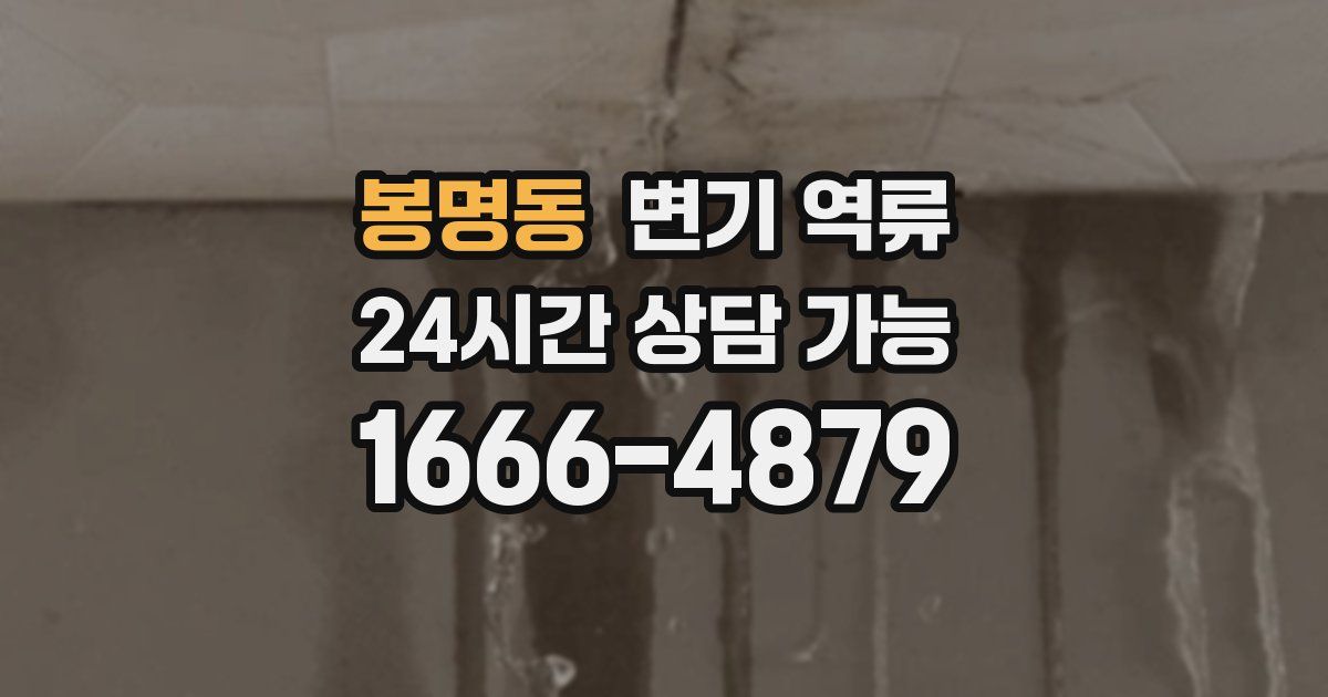 봉명동 변기 역류