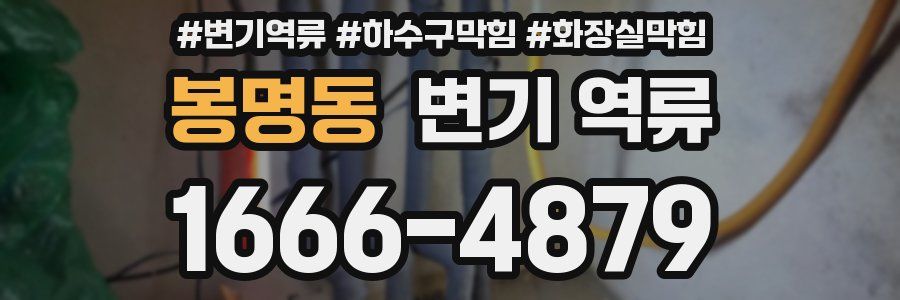 봉명동 변기 역류