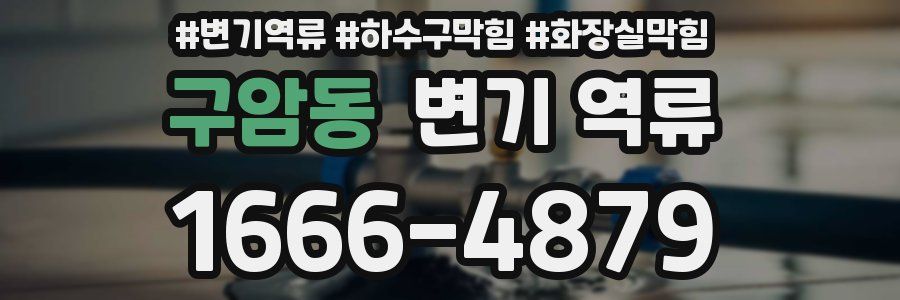 구암동 변기 역류