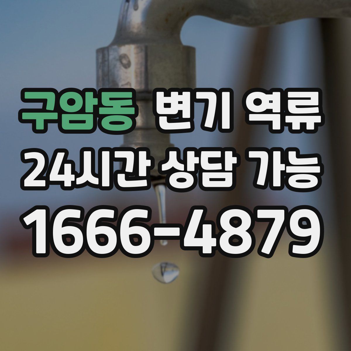 구암동 변기 역류