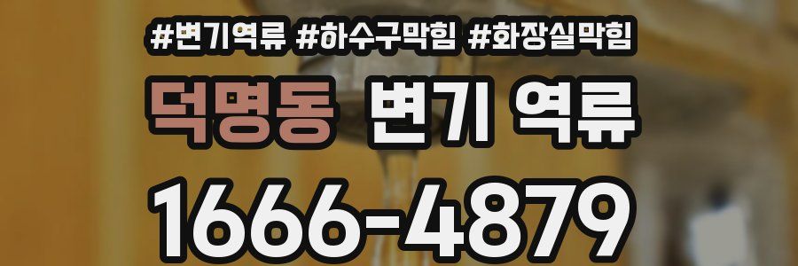 덕명동 변기 역류