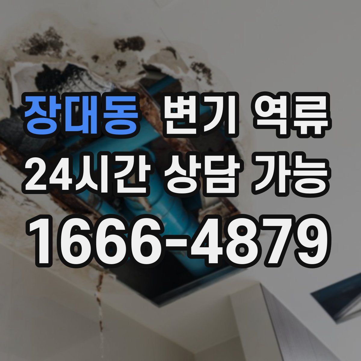 장대동 변기 역류