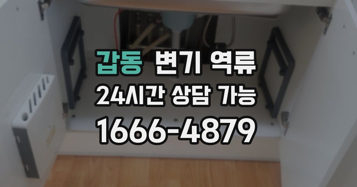 갑동 변기 역류