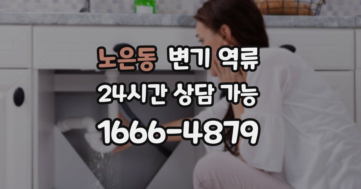 노은동 변기 역류