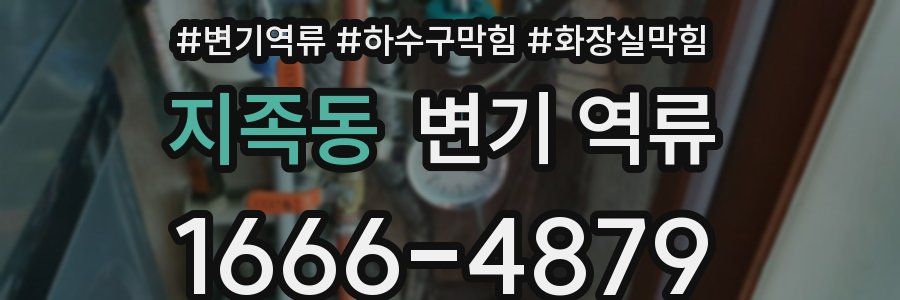 지족동 변기 역류