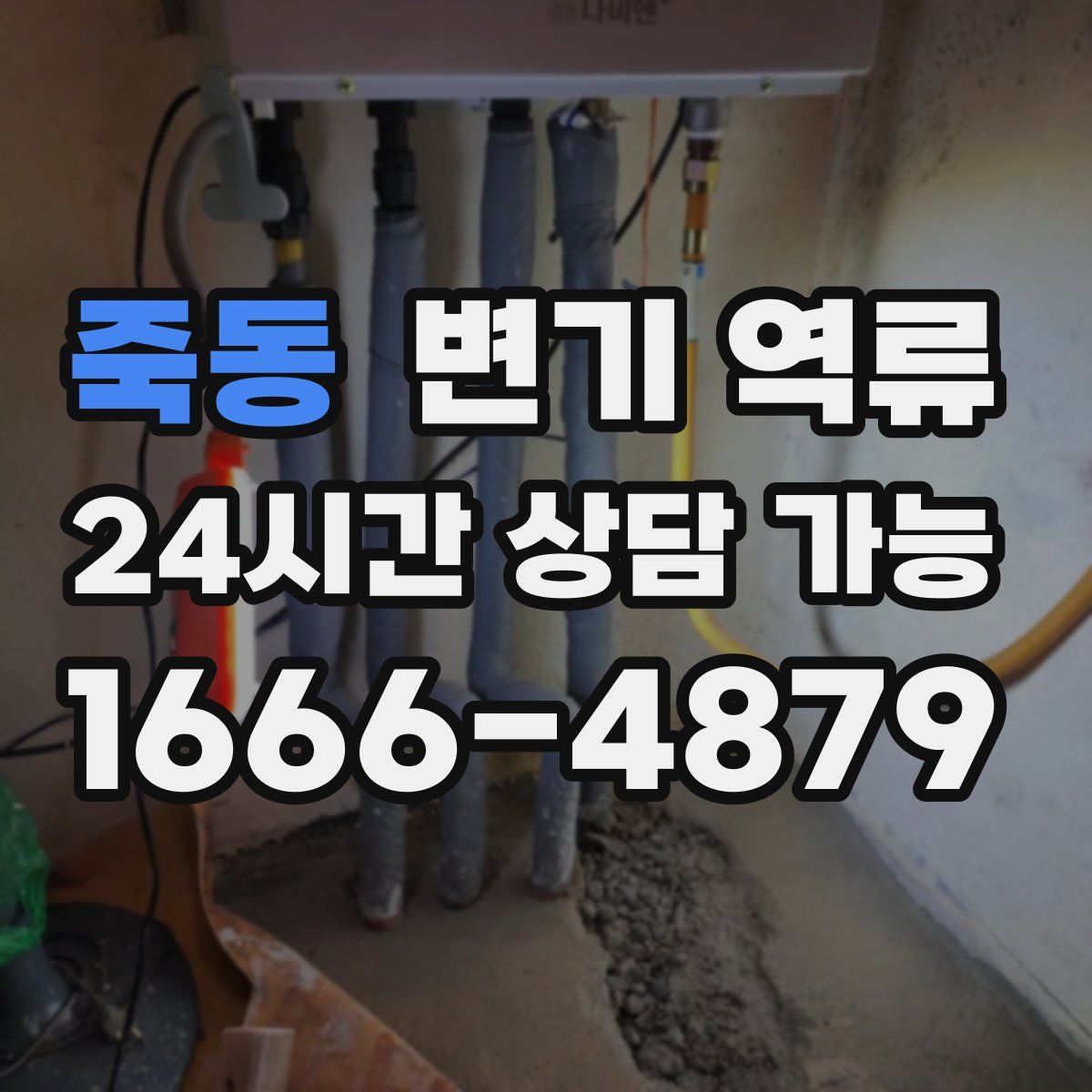 죽동 변기 역류