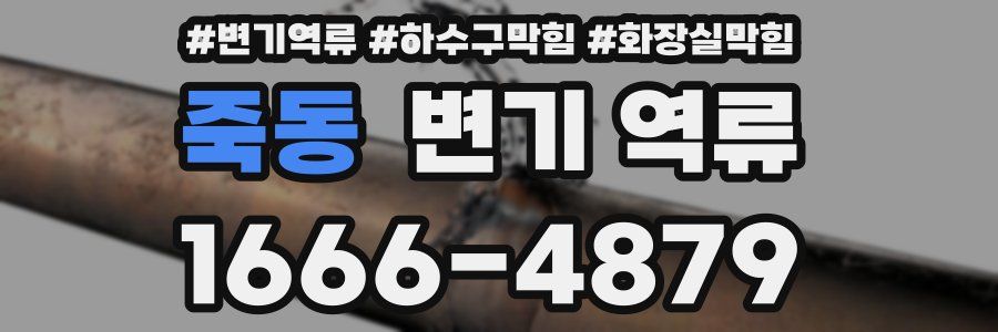 죽동 변기 역류