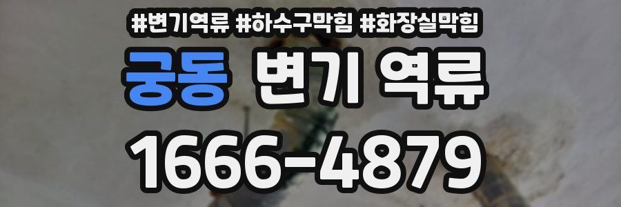 궁동 변기 역류