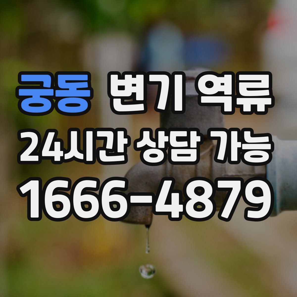 궁동 변기 역류