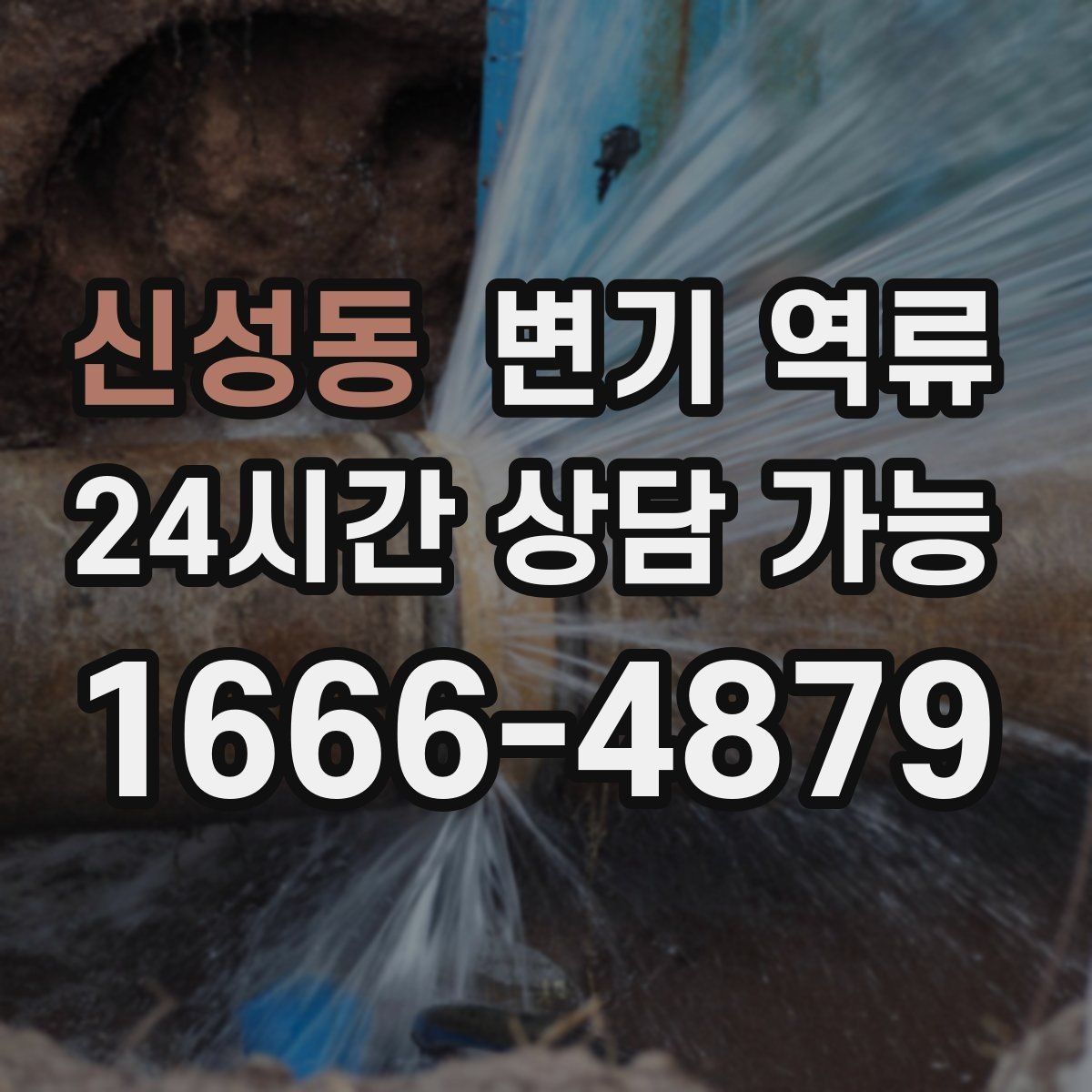 신성동 변기 역류 후 곰팡이·습기 문제가 커지는 이유