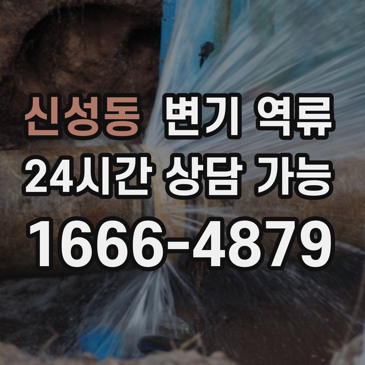 신성동 변기 역류