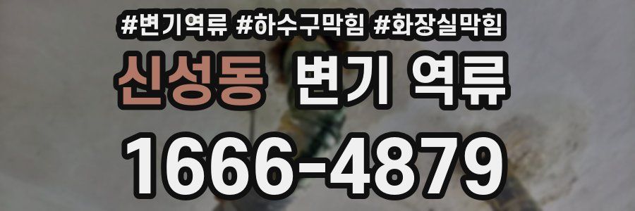 신성동 변기 역류